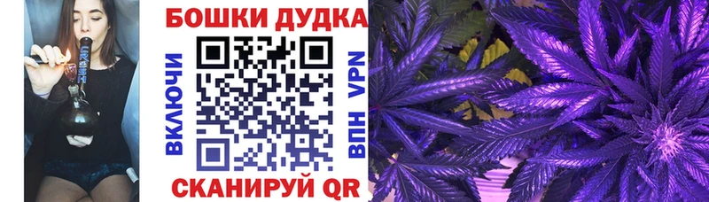 Магазины продажи наркотиков Зея Марихуана  Cocaine  Гашиш  APVP  Мефедрон 