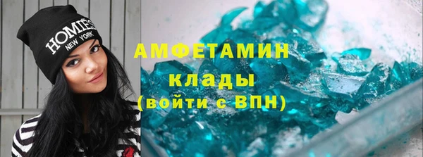 индика Горняк