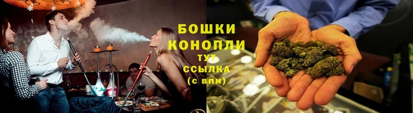 гашик Горно-Алтайск
