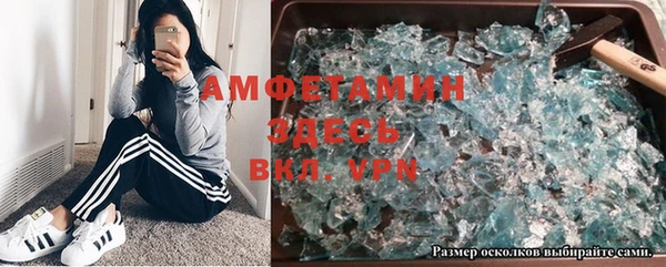 индика Горняк