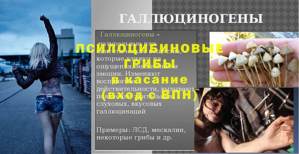 гашик Горно-Алтайск