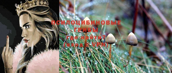 ешки Горнозаводск