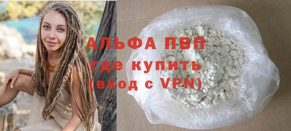 индика Горняк