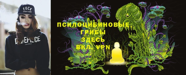 экстази Вяземский