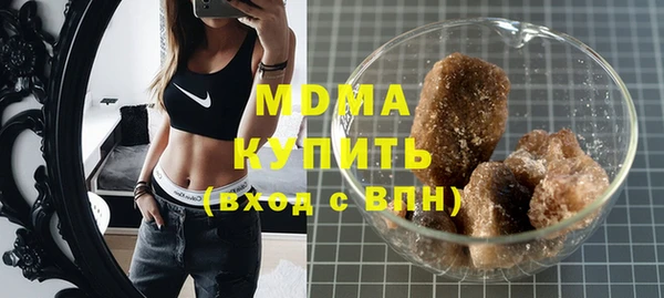 индика Горняк