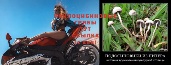 гашик Горно-Алтайск