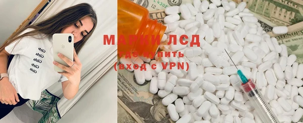индика Горняк