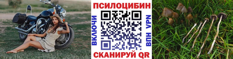 Псилоцибиновые грибы мицелий  Зея 